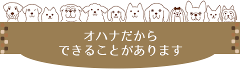 オハナだからできることがあります。